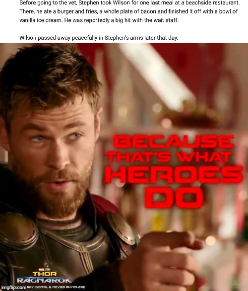 image tagged in because that's what heroes do | made w/ Imgflip meme maker
