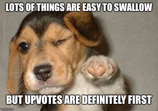 Winking Dog | LOTS OF THINGS ARE EASY TO SWALLOW BUT UPVOTES ARE DEFINITELY FIRST | image tagged in winking dog | made w/ Imgflip meme maker