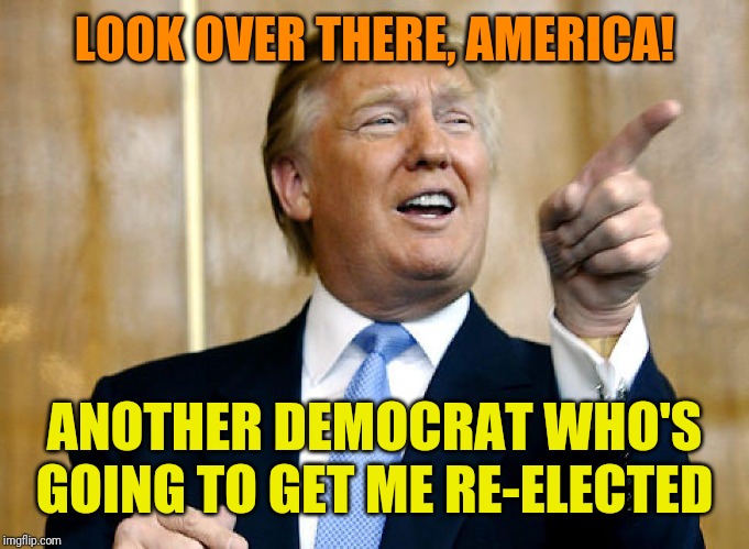 Donald Trump Pointing | LOOK OVER THERE, AMERICA! ANOTHER DEMOCRAT WHO'S GOING TO GET ME RE-ELECTED | image tagged in donald trump pointing | made w/ Imgflip meme maker
