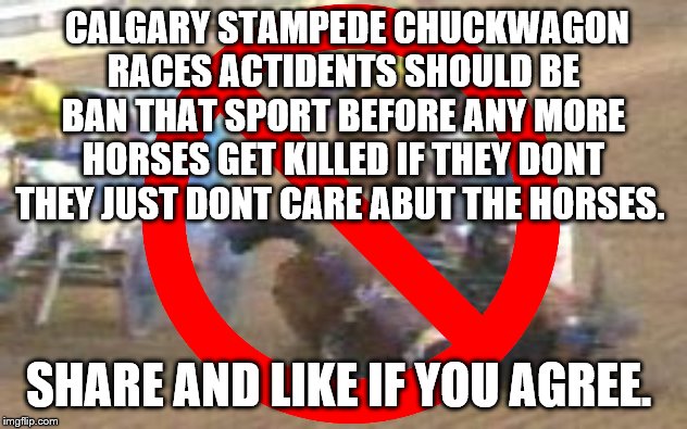 share and like if you agree. | CALGARY STAMPEDE CHUCKWAGON RACES ACTIDENTS SHOULD BE BAN THAT SPORT BEFORE ANY MORE HORSES GET KILLED IF THEY DONT THEY JUST DONT CARE ABUT THE HORSES. SHARE AND LIKE IF YOU AGREE. | image tagged in chuckwagon,horses,memes,share and like,banned,canada | made w/ Imgflip meme maker