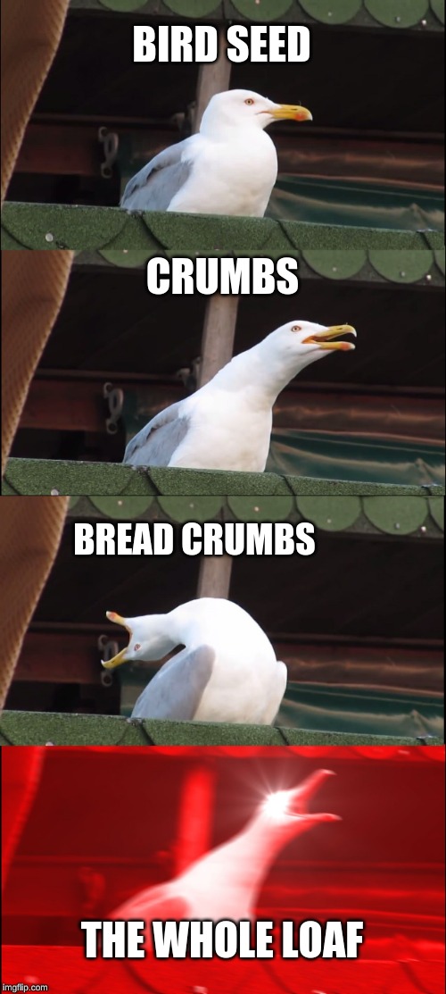 Inhaling Seagull Meme | BIRD SEED; CRUMBS; BREAD CRUMBS; THE WHOLE LOAF | image tagged in memes,inhaling seagull | made w/ Imgflip meme maker