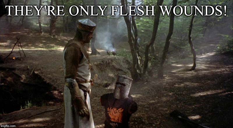 THEY'RE ONLY FLESH WOUNDS! | made w/ Imgflip meme maker