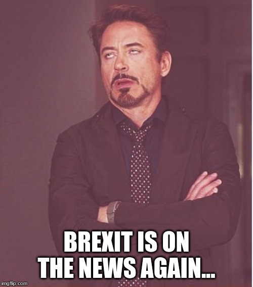 Face You Make Robert Downey Jr Meme | BREXIT IS ON THE NEWS AGAIN... | image tagged in memes,face you make robert downey jr | made w/ Imgflip meme maker