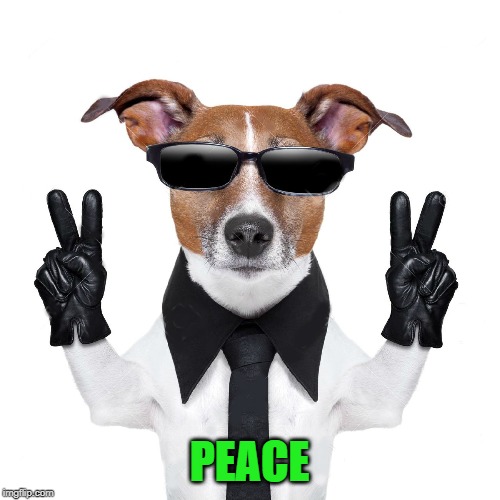 PEACE | made w/ Imgflip meme maker