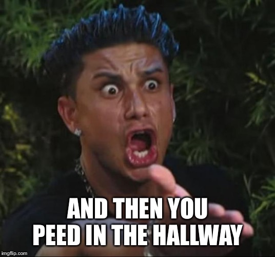 DJ Pauly D Meme | AND THEN YOU PEED IN THE HALLWAY | image tagged in memes,dj pauly d | made w/ Imgflip meme maker