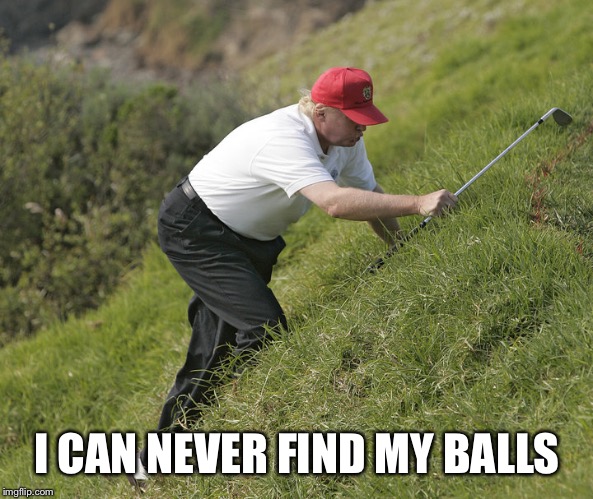 trump golfing | I CAN NEVER FIND MY BALLS | image tagged in trump golfing | made w/ Imgflip meme maker