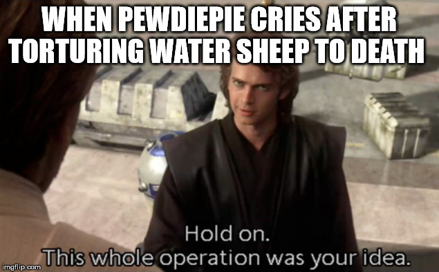 Hold on this whole operation was your idea |  WHEN PEWDIEPIE CRIES AFTER TORTURING WATER SHEEP TO DEATH | image tagged in hold on this whole operation was your idea | made w/ Imgflip meme maker