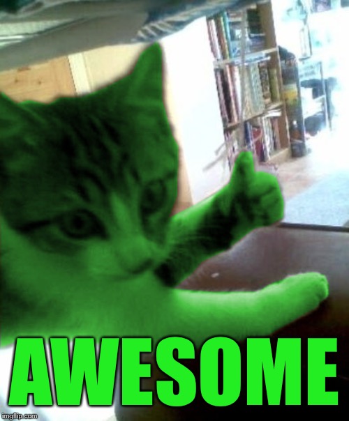 thumbs up RayCat | AWESOME | image tagged in thumbs up raycat | made w/ Imgflip meme maker