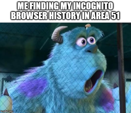 People are Planning to Storm Area 51 | ME FINDING MY INCOGNITO BROWSER HISTORY IN AREA 51 | image tagged in area 51,suprised,sully | made w/ Imgflip meme maker