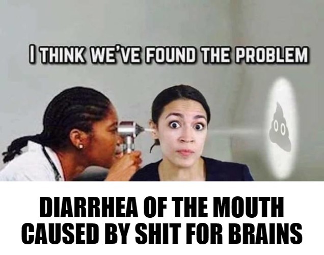 I Think We've Found The Problem | image tagged in triggered liberal,crazy alexandria ocasio-cortez,mental illness,diarrhea,shit for brains,stupid liberals | made w/ Imgflip meme maker