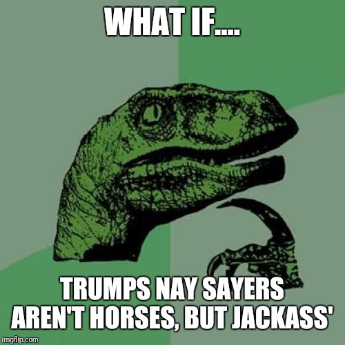 Philosoraptor Meme | WHAT IF.... TRUMPS NAY SAYERS AREN'T HORSES, BUT JACKASS' | image tagged in memes,philosoraptor | made w/ Imgflip meme maker