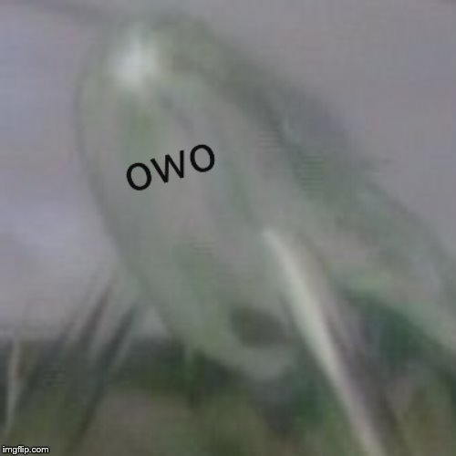 owo waterwraith | . | image tagged in owo waterwraith | made w/ Imgflip meme maker