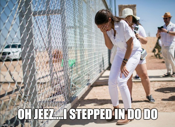 AOC discovers the existence of fences | OH JEEZ....I STEPPED IN DO DO | image tagged in aoc discovers the existence of fences | made w/ Imgflip meme maker