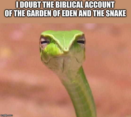 Skeptical snake | I DOUBT THE BIBLICAL ACCOUNT OF THE GARDEN OF EDEN AND THE SNAKE | image tagged in skeptical snake | made w/ Imgflip meme maker
