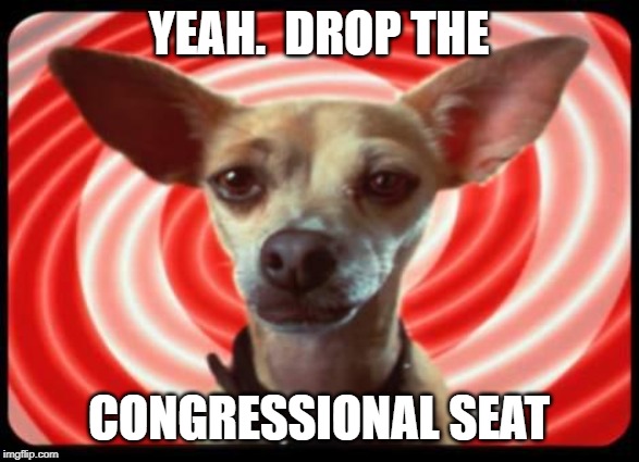 taco bell dog | YEAH.  DROP THE CONGRESSIONAL SEAT | image tagged in taco bell dog | made w/ Imgflip meme maker