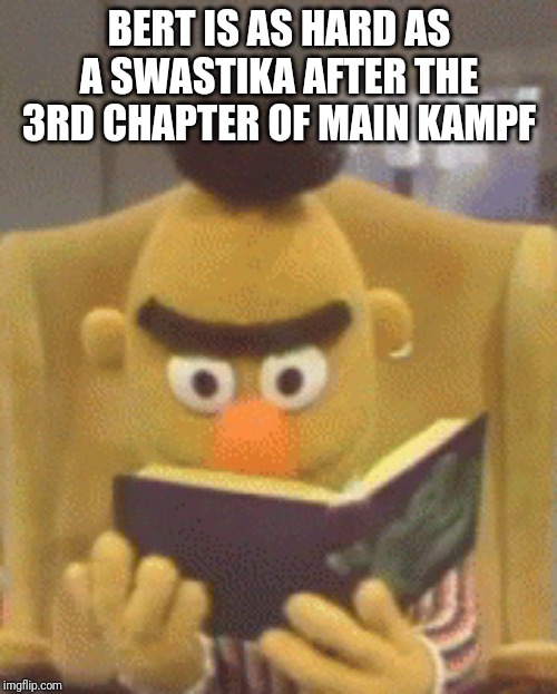  BERT IS AS HARD AS A SWASTIKA AFTER THE 3RD CHAPTER OF MAIN KAMPF | image tagged in sesame street bert book | made w/ Imgflip meme maker