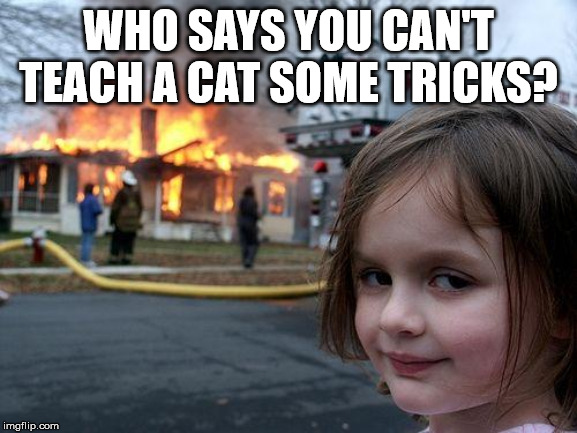 Disaster Girl Meme | WHO SAYS YOU CAN'T TEACH A CAT SOME TRICKS? | image tagged in memes,disaster girl | made w/ Imgflip meme maker