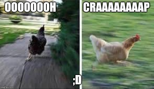 running chicken | OOOOOOOH             CRAAAAAAAAP ;D | image tagged in running chicken | made w/ Imgflip meme maker