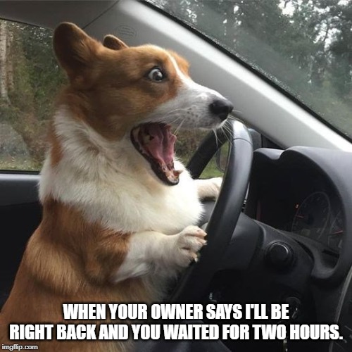 WHEN YOUR OWNER SAYS I'LL BE RIGHT BACK AND YOU WAITED FOR TWO HOURS. | made w/ Imgflip meme maker