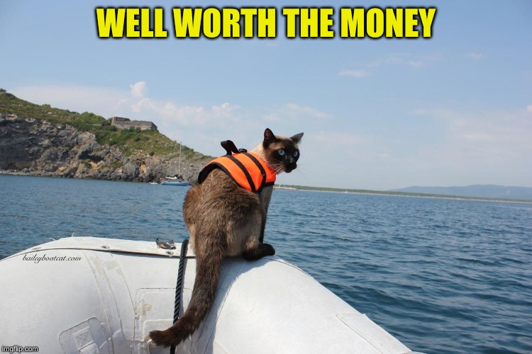 Siamese cat boat | WELL WORTH THE MONEY | image tagged in siamese cat boat | made w/ Imgflip meme maker