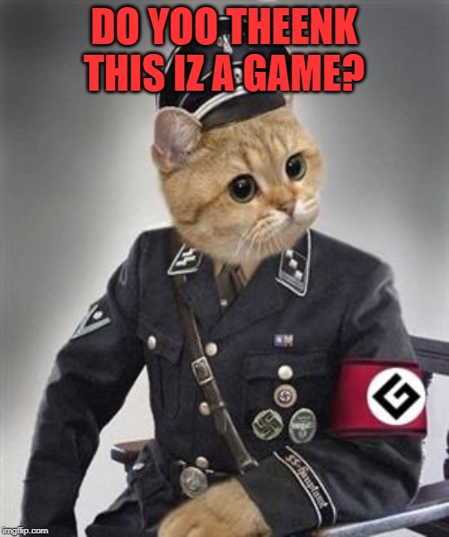 Grammar Nazi Cat | DO YOO THEENK THIS IZ A GAME? | image tagged in grammar nazi cat | made w/ Imgflip meme maker