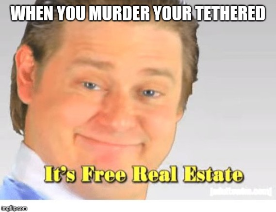 It's Free Real Estate | WHEN YOU MURDER YOUR TETHERED | image tagged in it's free real estate | made w/ Imgflip meme maker