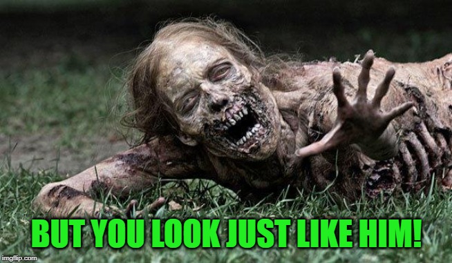 Walking Dead Zombie | BUT YOU LOOK JUST LIKE HIM! | image tagged in walking dead zombie | made w/ Imgflip meme maker