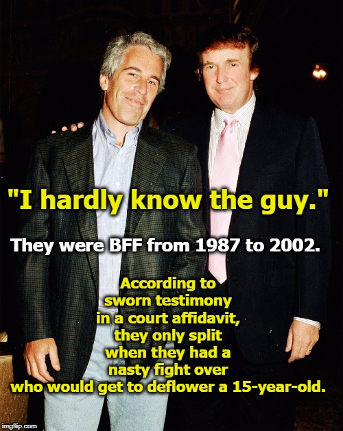 Trump went first. | According to sworn testimony in a court affidavit, they only split when they had a nasty fight over who would get to deflower a 15-year-old. "I hardly know the guy."; They were BFF from 1987 to 2002. | image tagged in trump,jeffrey epstein,virgin,best friends | made w/ Imgflip meme maker