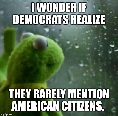Muppet | I WONDER IF DEMOCRATS REALIZE; THEY RARELY MENTION AMERICAN CITIZENS. | image tagged in muppet | made w/ Imgflip meme maker