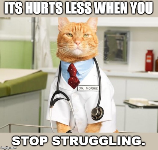 Cat Doctor | ITS HURTS LESS WHEN YOU STOP STRUGGLING. | image tagged in cat doctor | made w/ Imgflip meme maker