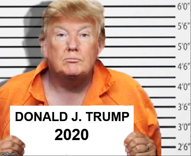 The Big House | DONALD J. TRUMP; 2020 | image tagged in donald trump,donald trump the clown,impeach trump,prison | made w/ Imgflip meme maker