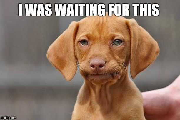 Dissapointed puppy | I WAS WAITING FOR THIS | image tagged in dissapointed puppy | made w/ Imgflip meme maker
