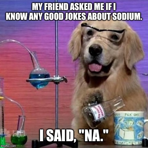 I Have No Idea What I Am Doing Dog | MY FRIEND ASKED ME IF I KNOW ANY GOOD JOKES ABOUT SODIUM. I SAID, "NA." | image tagged in memes,i have no idea what i am doing dog | made w/ Imgflip meme maker