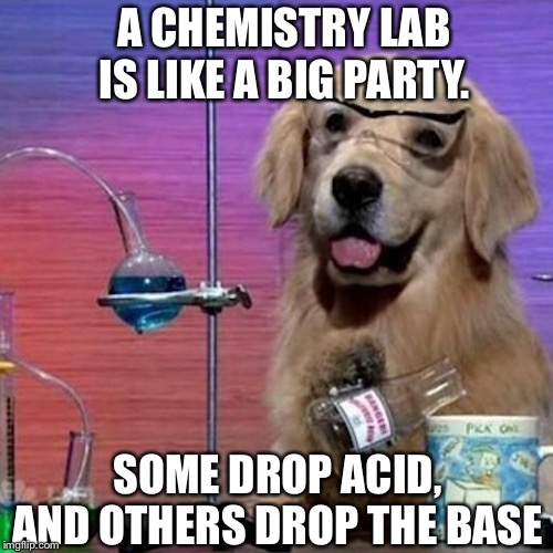 I Have No Idea What I Am Doing Dog | A CHEMISTRY LAB IS LIKE A BIG PARTY. SOME DROP ACID, AND OTHERS DROP THE BASE | image tagged in memes,i have no idea what i am doing dog | made w/ Imgflip meme maker