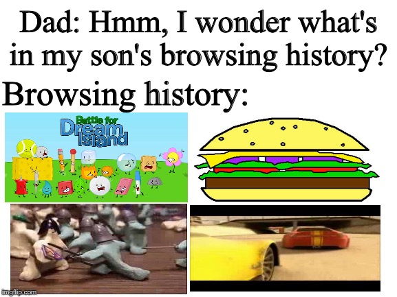 Browsing History | Dad: Hmm, I wonder what's in my son's browsing history? Browsing history: | image tagged in blank white template | made w/ Imgflip meme maker