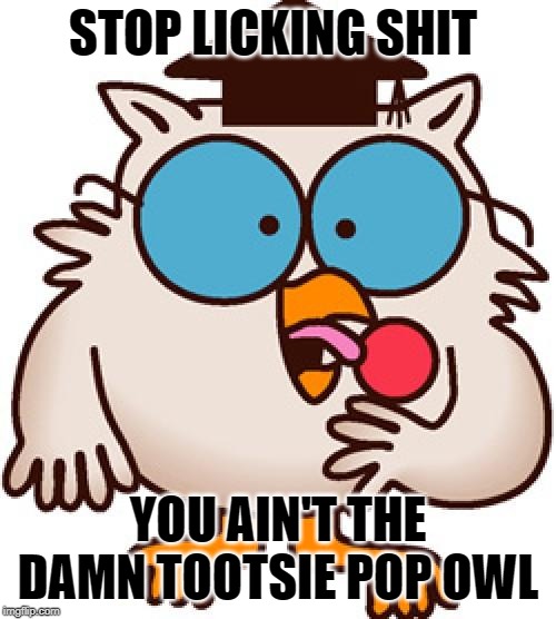 STOP LICKING SHIT; YOU AIN'T THE DAMN TOOTSIE POP OWL | image tagged in tootsie pop owl,licking | made w/ Imgflip meme maker