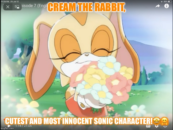 ADORABLE!? | CREAM THE RABBIT, CUTEST AND MOST INNOCENT SONIC CHARACTER!🤩🤗 | image tagged in adorable | made w/ Imgflip meme maker