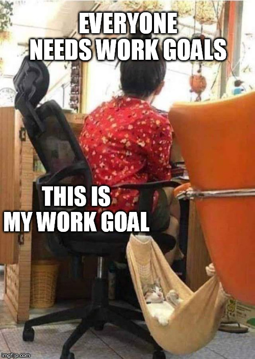 Everyone needs work goals | EVERYONE NEEDS WORK GOALS; THIS IS MY WORK GOAL | image tagged in cat at work in hammock,cat,girl,work,hammock,cute | made w/ Imgflip meme maker