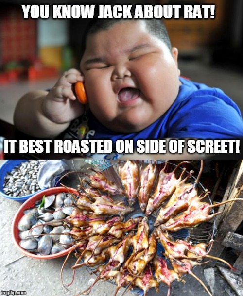 YOU KNOW JACK ABOUT RAT! IT BEST ROASTED ON SIDE OF SCREET! | image tagged in fat asian kid | made w/ Imgflip meme maker
