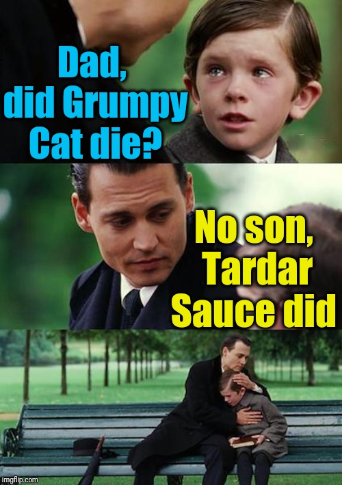 Finding Neverland Meme | Dad,  did Grumpy Cat die? No son,  Tardar Sauce did | image tagged in memes,finding neverland | made w/ Imgflip meme maker