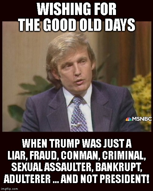 Make Trump Go Away Again | WISHING FOR THE GOOD OLD DAYS; WHEN TRUMP WAS JUST A LIAR, FRAUD, CONMAN, CRIMINAL, SEXUAL ASSAULTER, BANKRUPT, ADULTERER ... AND NOT PRESIDENT! | image tagged in impeach trump,liar,criminal,corrupt,conman,traitor | made w/ Imgflip meme maker