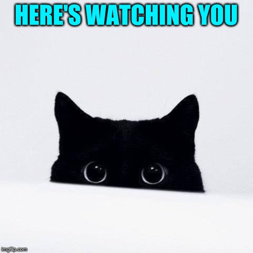 Watching you | HERE'S WATCHING YOU | image tagged in watching you | made w/ Imgflip meme maker