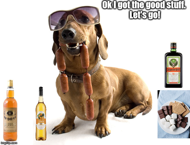 Ok I got the good stuff. 
Let's go! | image tagged in liquor,jeagermeister,wine,dog,smores,camping | made w/ Imgflip meme maker