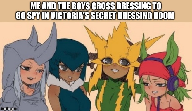 me and the girls | ME AND THE BOYS CROSS DRESSING TO GO SPY IN VICTORIA'S SECRET DRESSING ROOM | image tagged in me and the girls | made w/ Imgflip meme maker