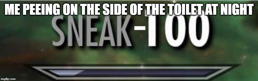 ME PEEING ON THE SIDE OF THE TOILET AT NIGHT | made w/ Imgflip meme maker