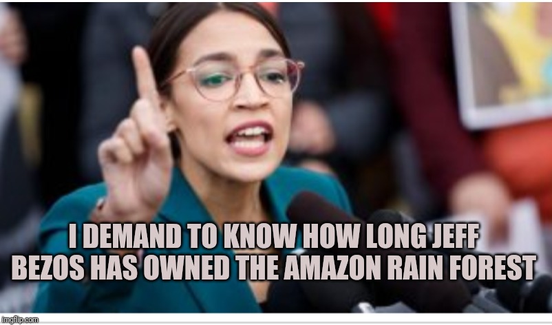 Ocasio cortez | I DEMAND TO KNOW HOW LONG JEFF BEZOS HAS OWNED THE AMAZON RAIN FOREST | image tagged in ocasio cortez | made w/ Imgflip meme maker