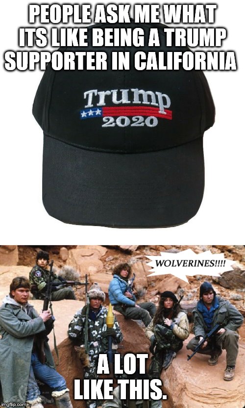 Behind enemy lines in California | PEOPLE ASK ME WHAT ITS LIKE BEING A TRUMP SUPPORTER IN CALIFORNIA; A LOT LIKE THIS. | image tagged in trump,american politics | made w/ Imgflip meme maker