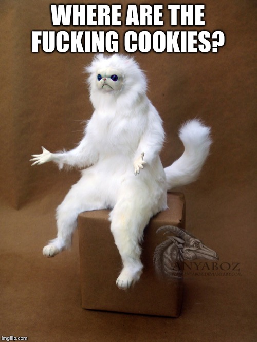 me again (but when I hear there’s cookies, but I don’t see them; unless I know somebody’s tricking me) | WHERE ARE THE FUCKING COOKIES? | image tagged in memes,persian cat room guardian single,cat,cookies | made w/ Imgflip meme maker