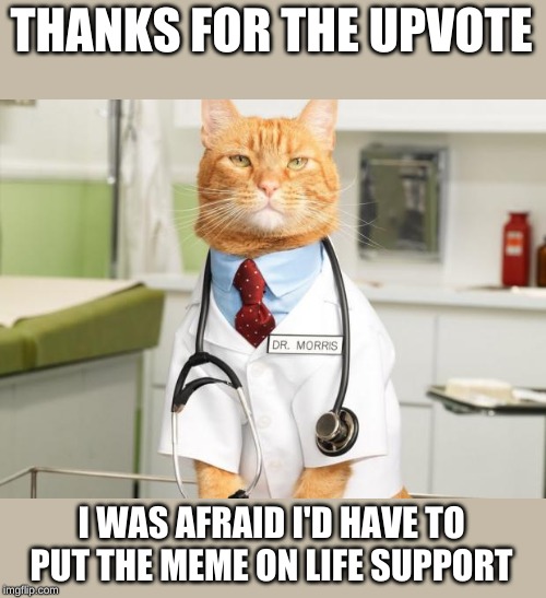 Cat Doctor | THANKS FOR THE UPVOTE I WAS AFRAID I'D HAVE TO PUT THE MEME ON LIFE SUPPORT | image tagged in cat doctor | made w/ Imgflip meme maker