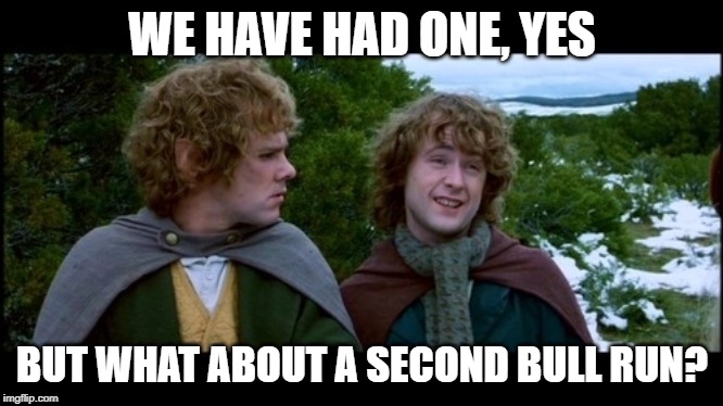 pippin second breakfast | WE HAVE HAD ONE, YES; BUT WHAT ABOUT A SECOND BULL RUN? | image tagged in pippin second breakfast,Bitcoin | made w/ Imgflip meme maker